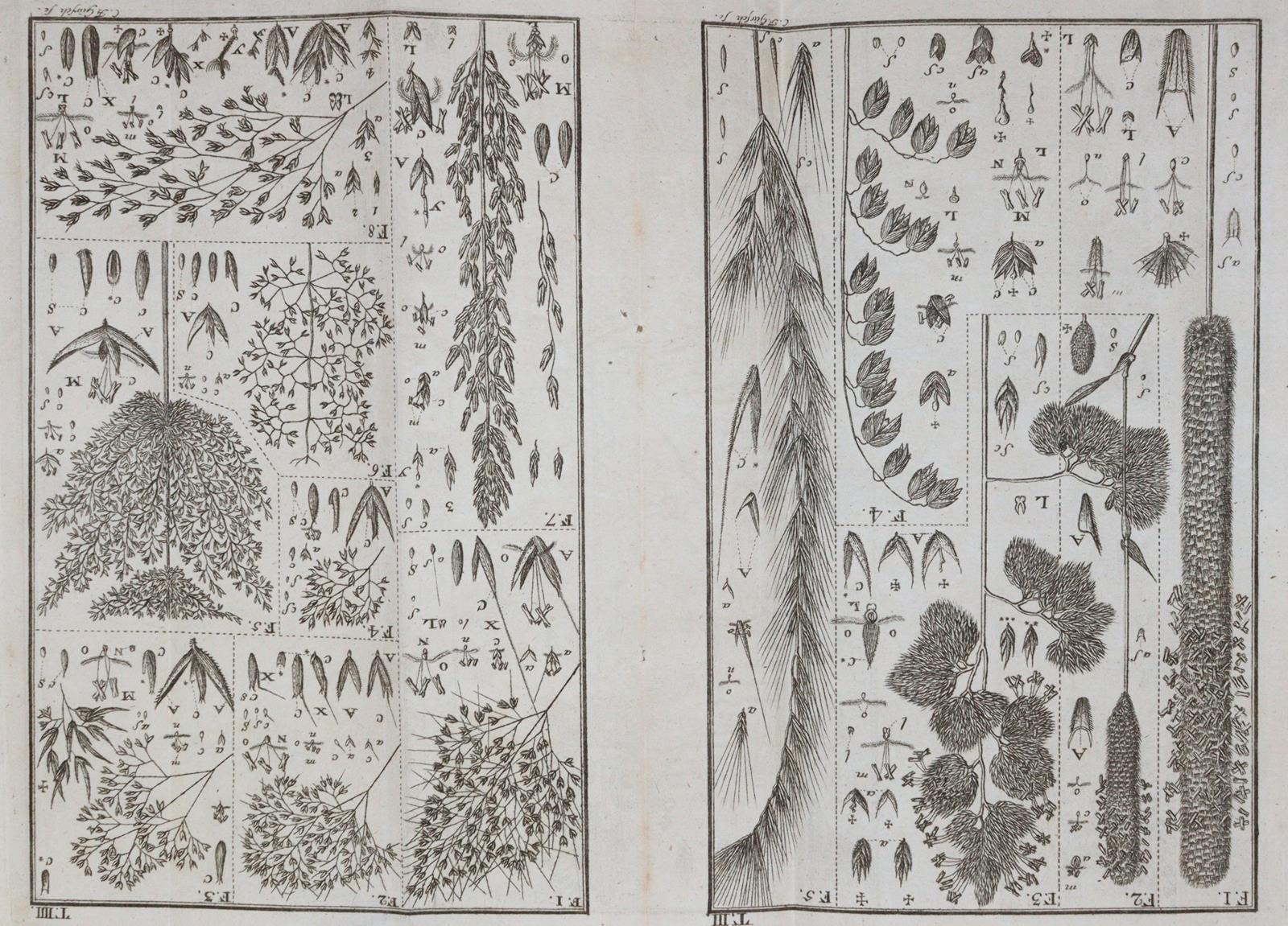 Leers,J.D. | Bild Nr.5