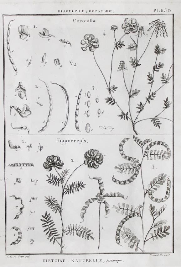 (Tableau encyclopedique et methodique | Bild Nr.1