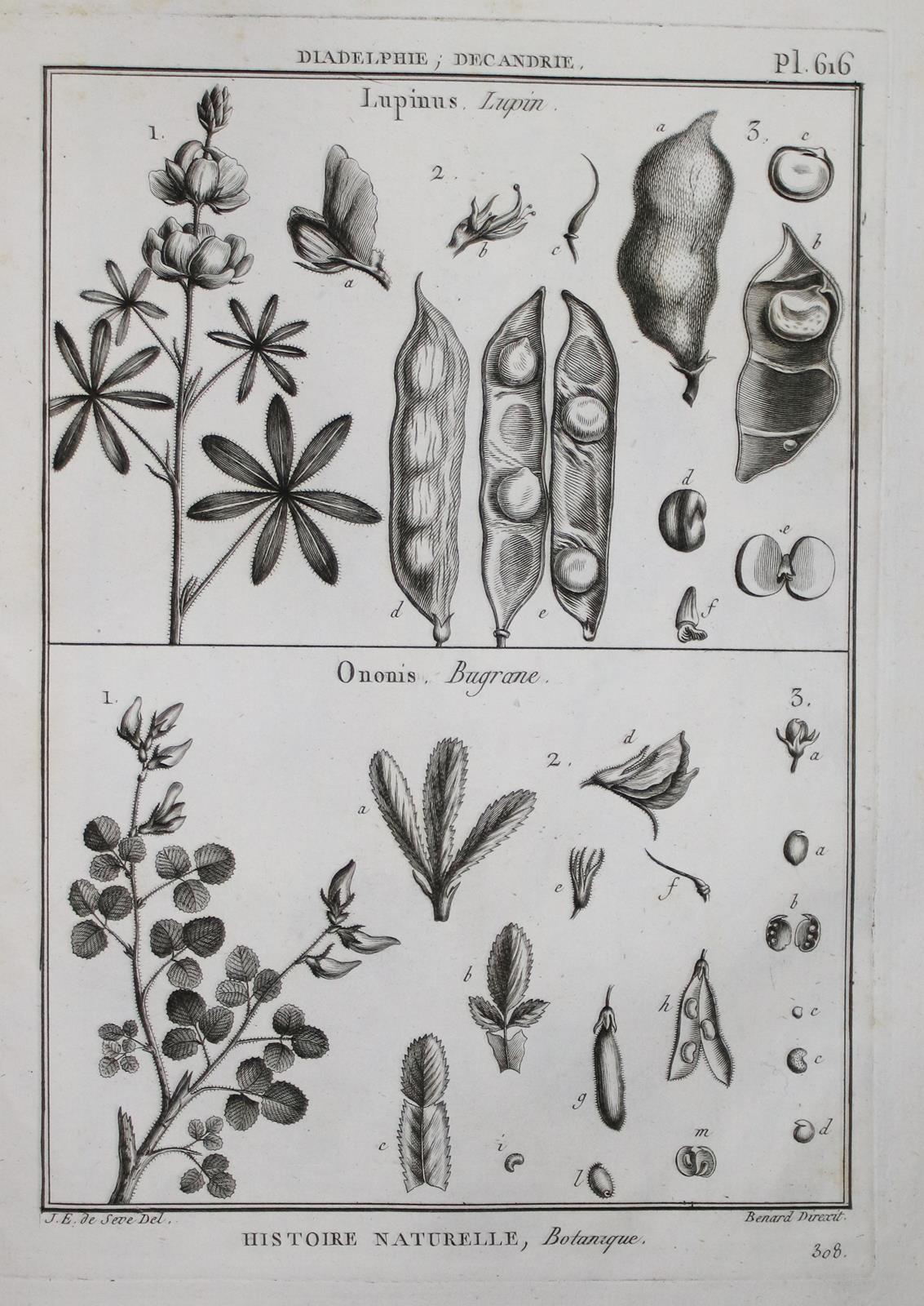 (Tableau encyclopedique et methodique | Bild Nr.2