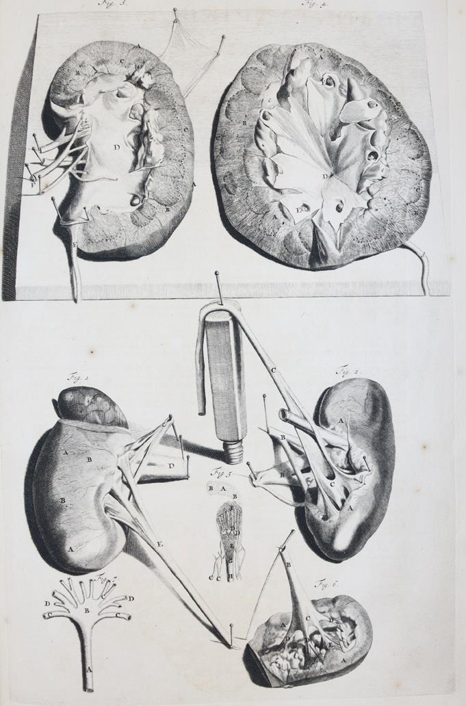 Cowper,W. | Bild Nr.1