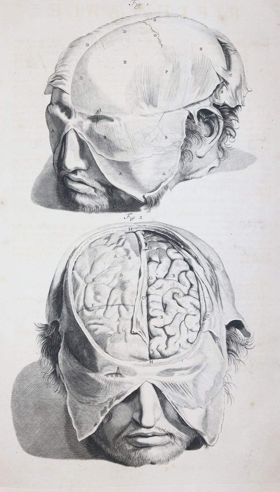 Cowper,W. | Bild Nr.5