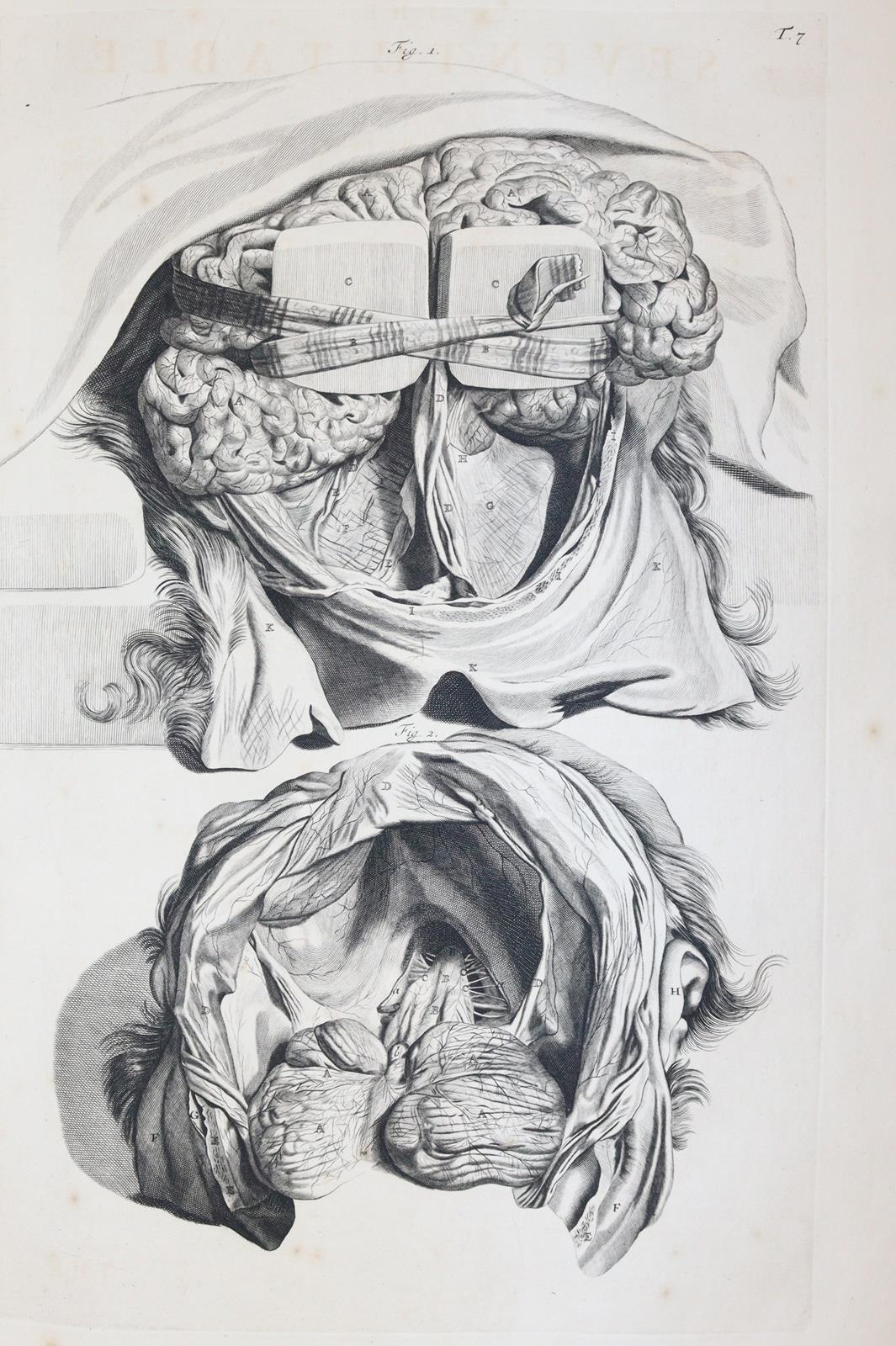 Cowper,W. | Bild Nr.6