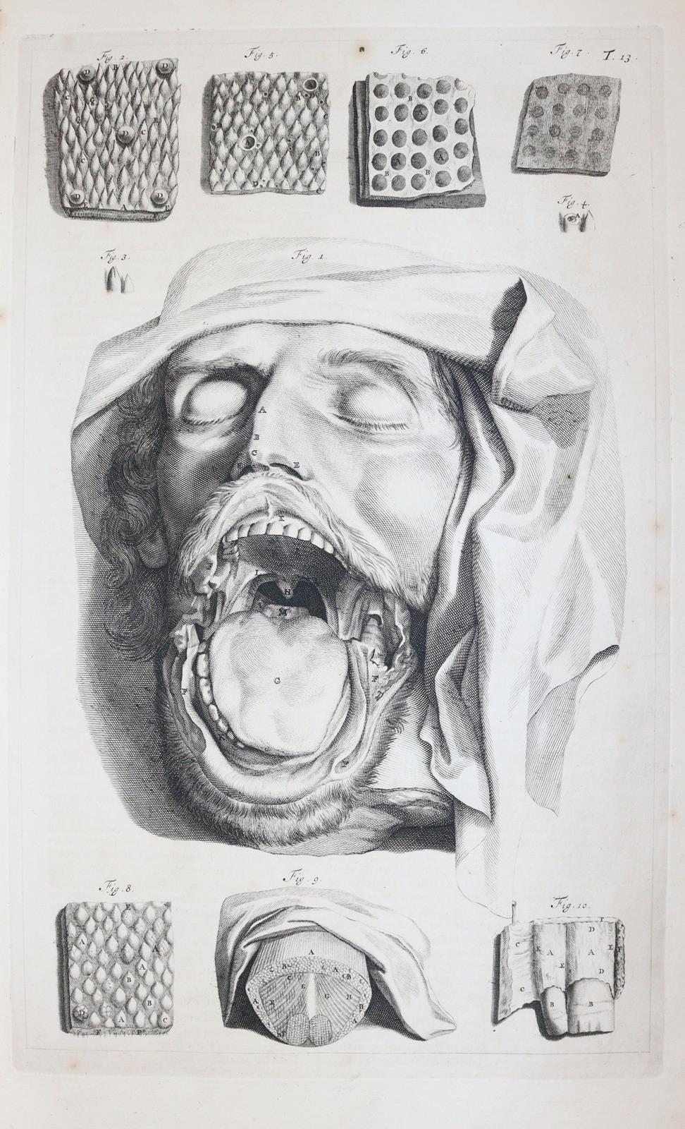 Cowper,W. | Bild Nr.7