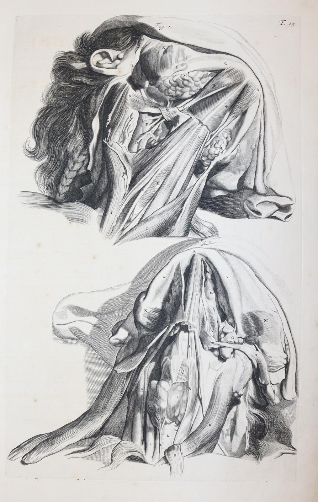 Cowper,W. | Bild Nr.8