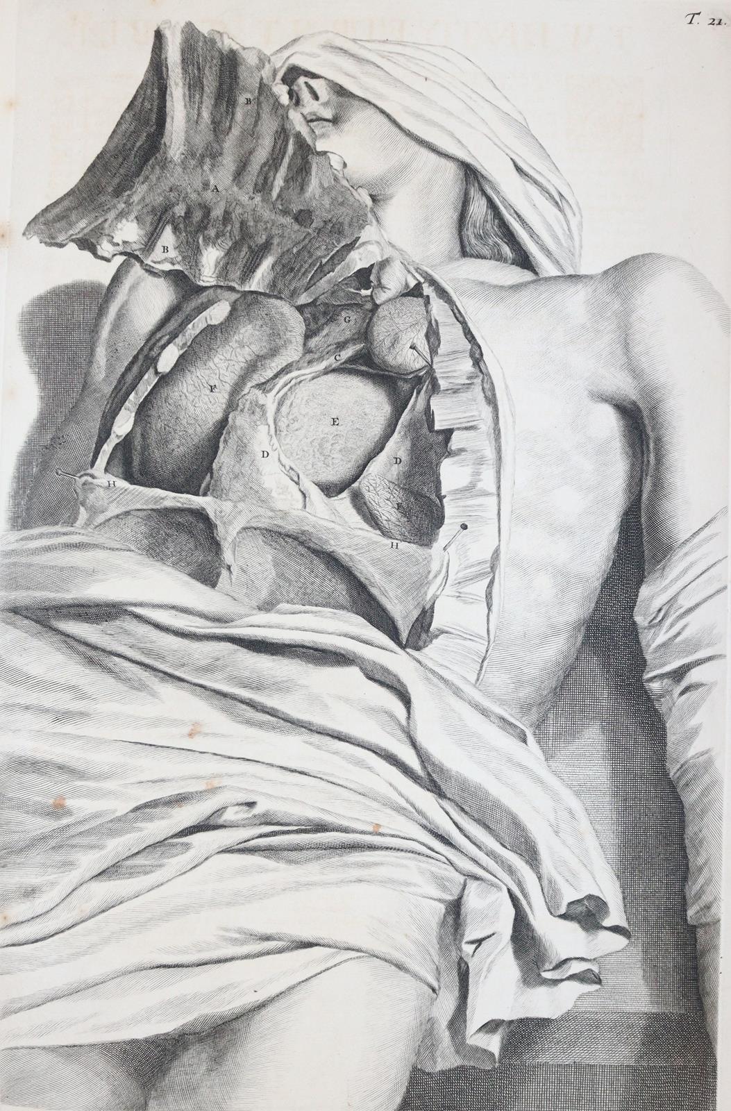 Cowper,W. | Bild Nr.9