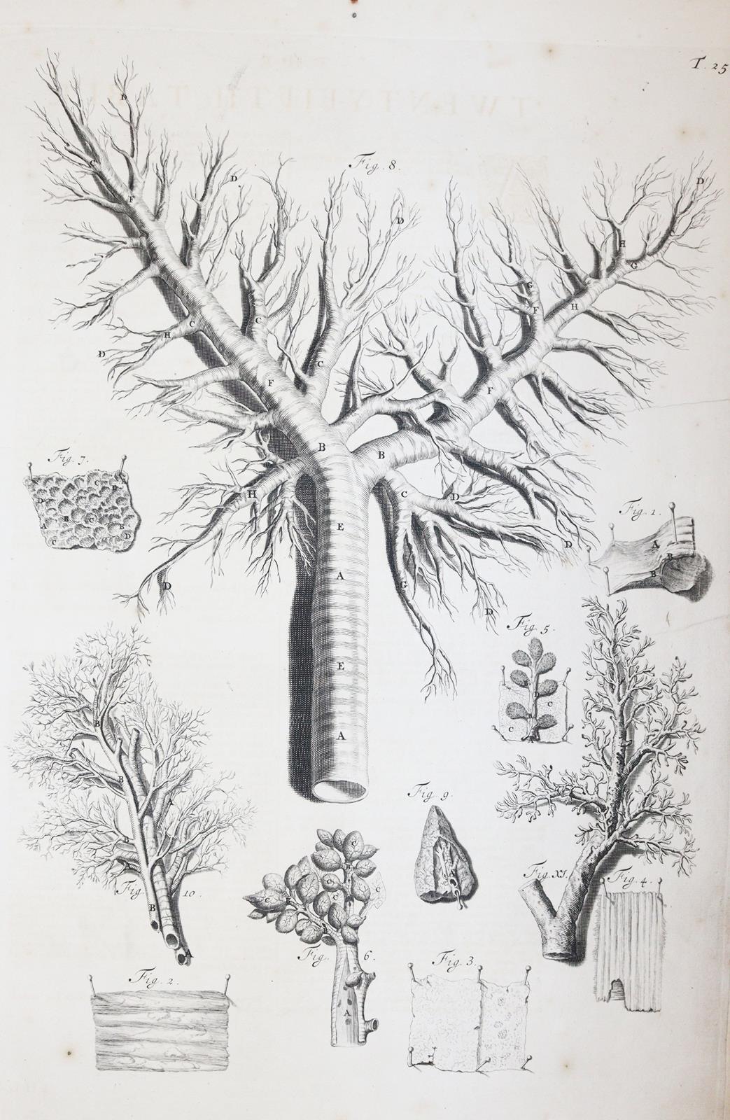 Cowper,W. | Bild Nr.10