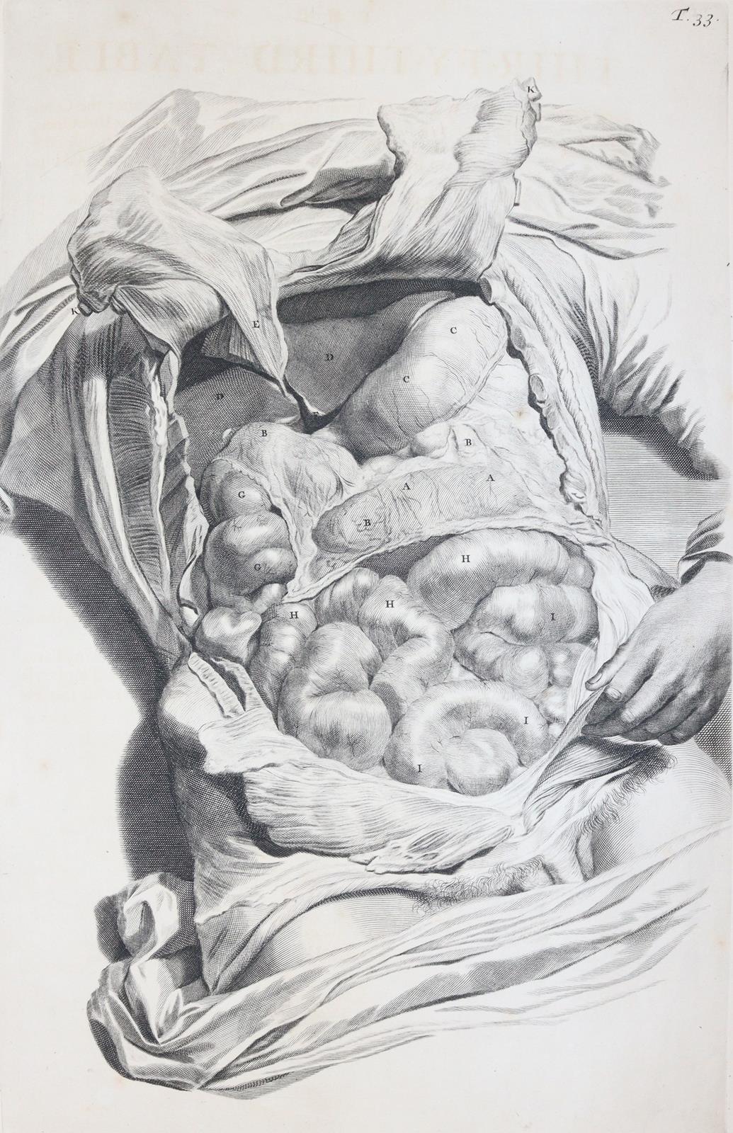 Cowper,W. | Bild Nr.11
