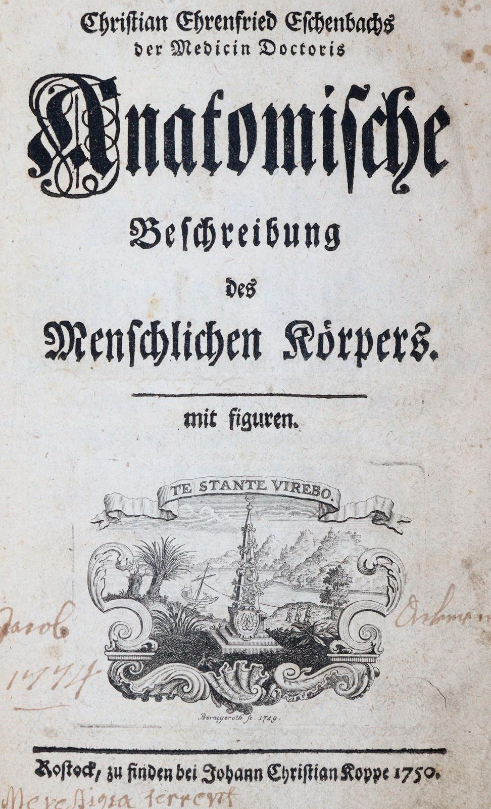 Eschenbach,C.E. | Bild Nr.1