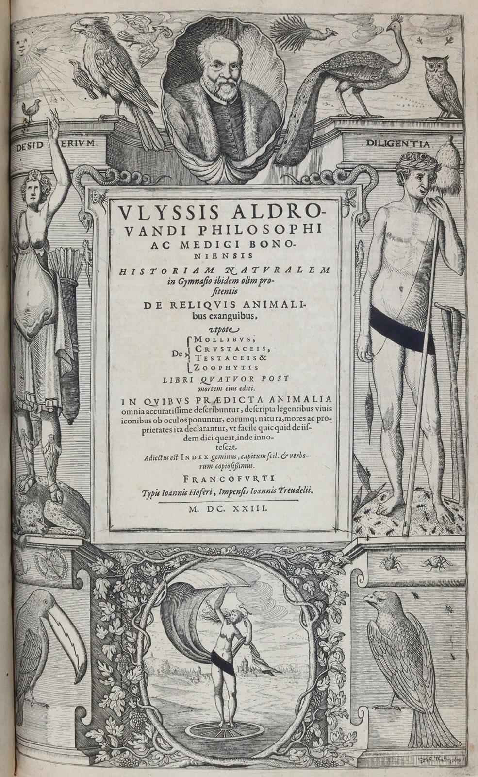 Aldrovandi,U. | Bild Nr.6