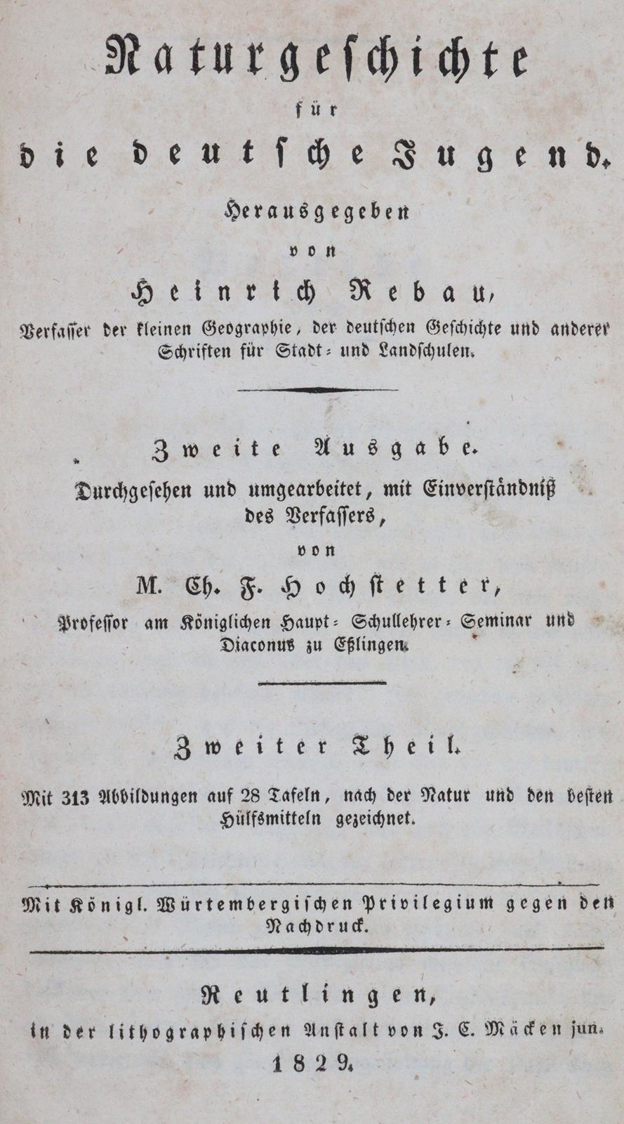 Rebau,H. (d.i. C.A.Gebauer). | Bild Nr.8