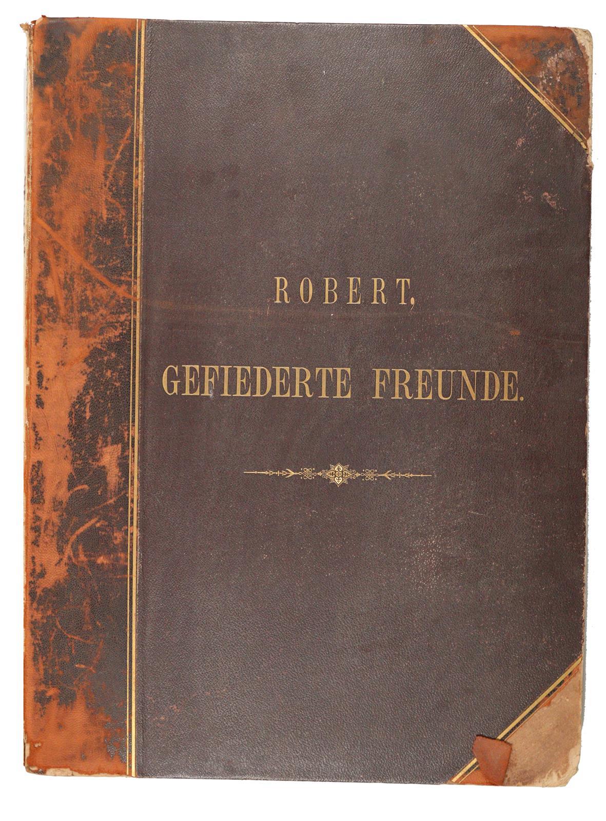 Robert,L.P. | Bild Nr.2