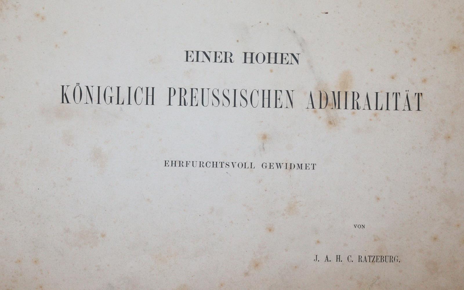 Kohl,F. | Bild Nr.6
