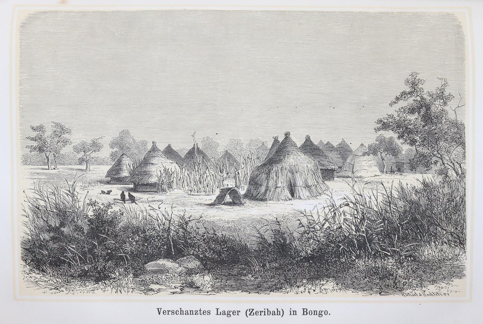 Heuglin,M.T.v. | Bild Nr.1
