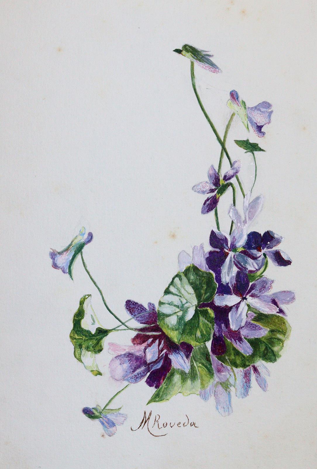 Stammbuch: | Bild Nr.1