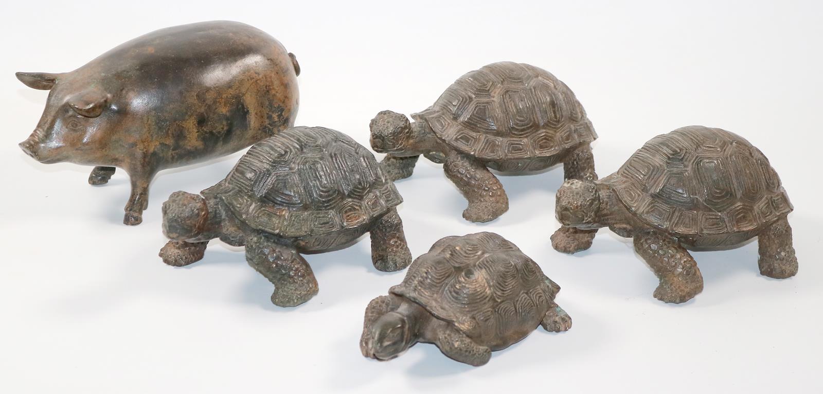 Schildkröten u. | Bild Nr.1