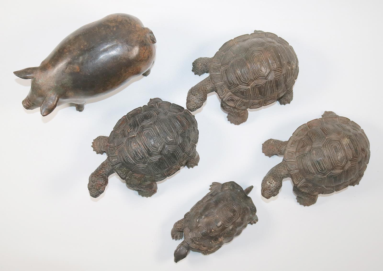 Schildkröten u. | Bild Nr.2