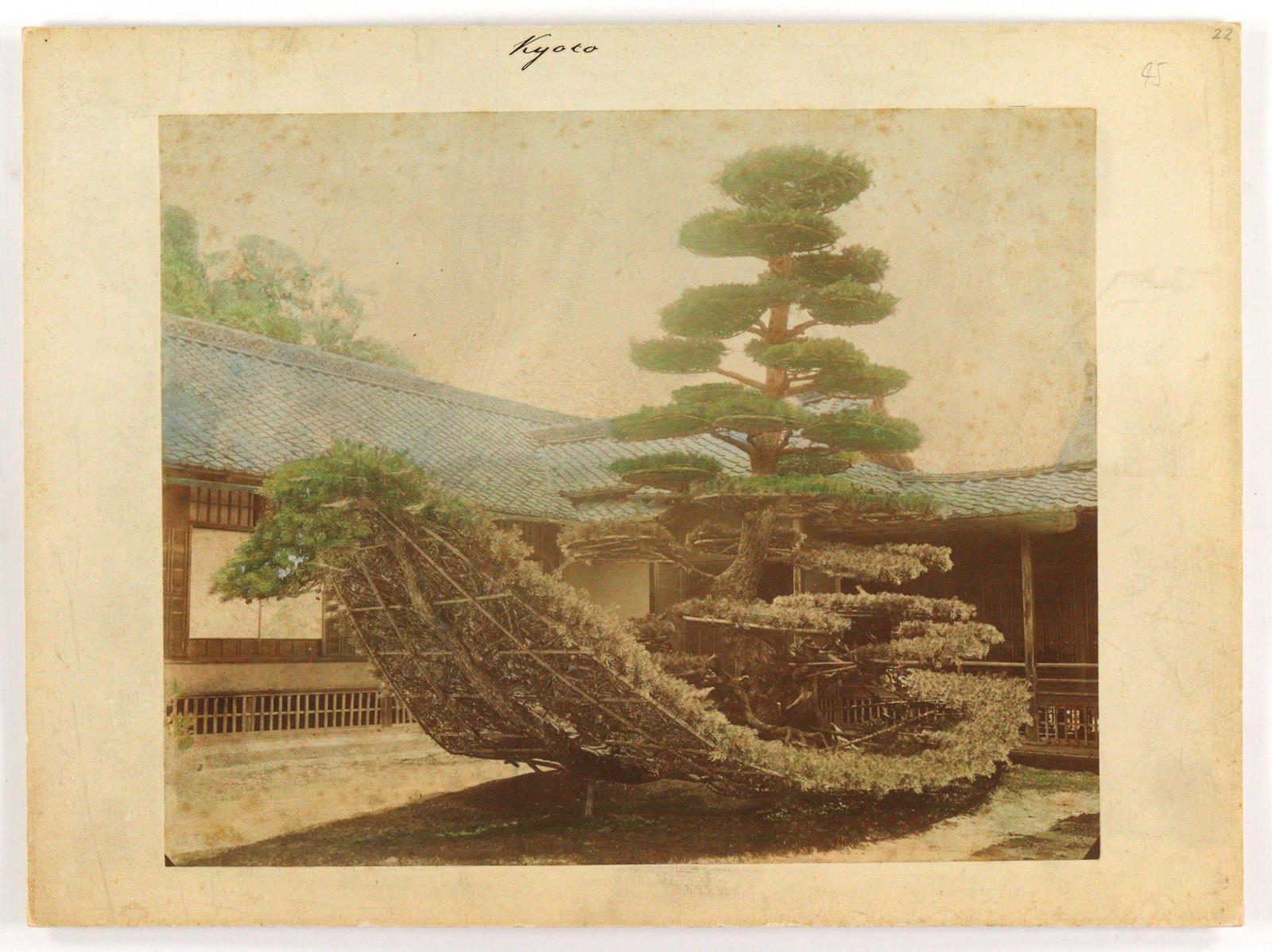 Japan. | Bild Nr.3