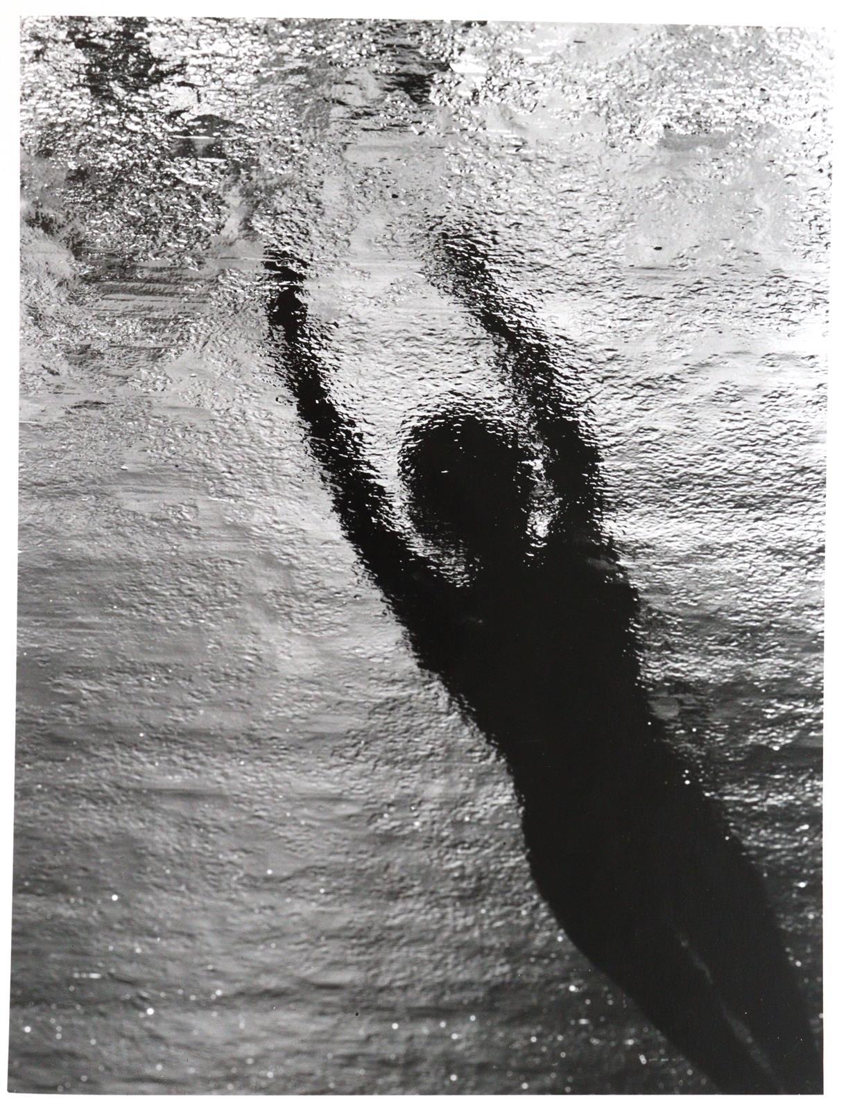 Brill, Fritz | Bild Nr.3
