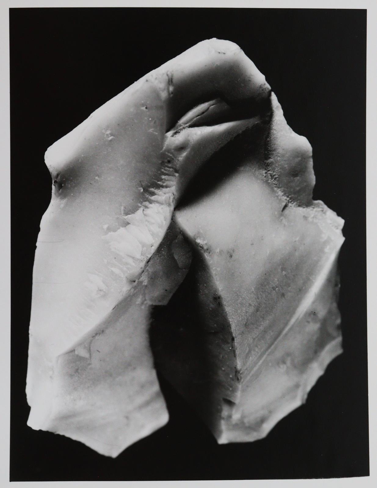 Brill, Fritz | Bild Nr.6
