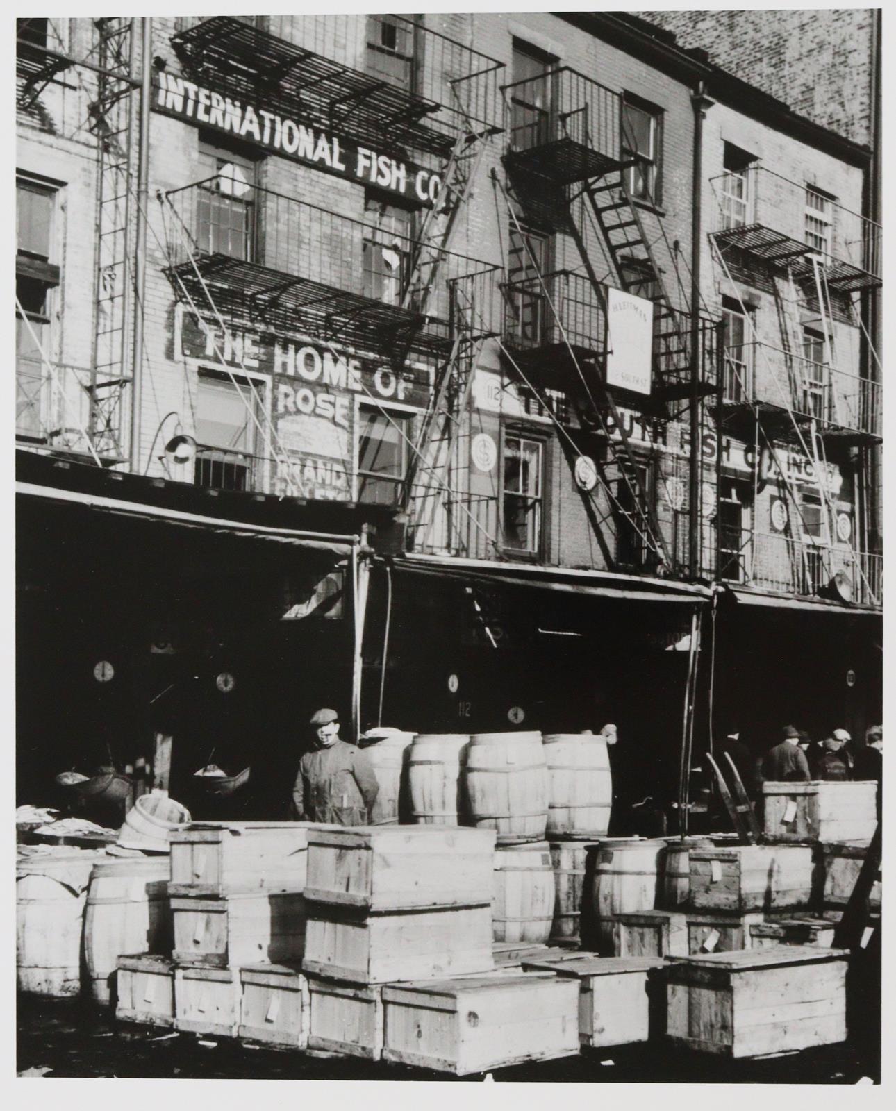 Feininger, Andreas | Bild Nr.5