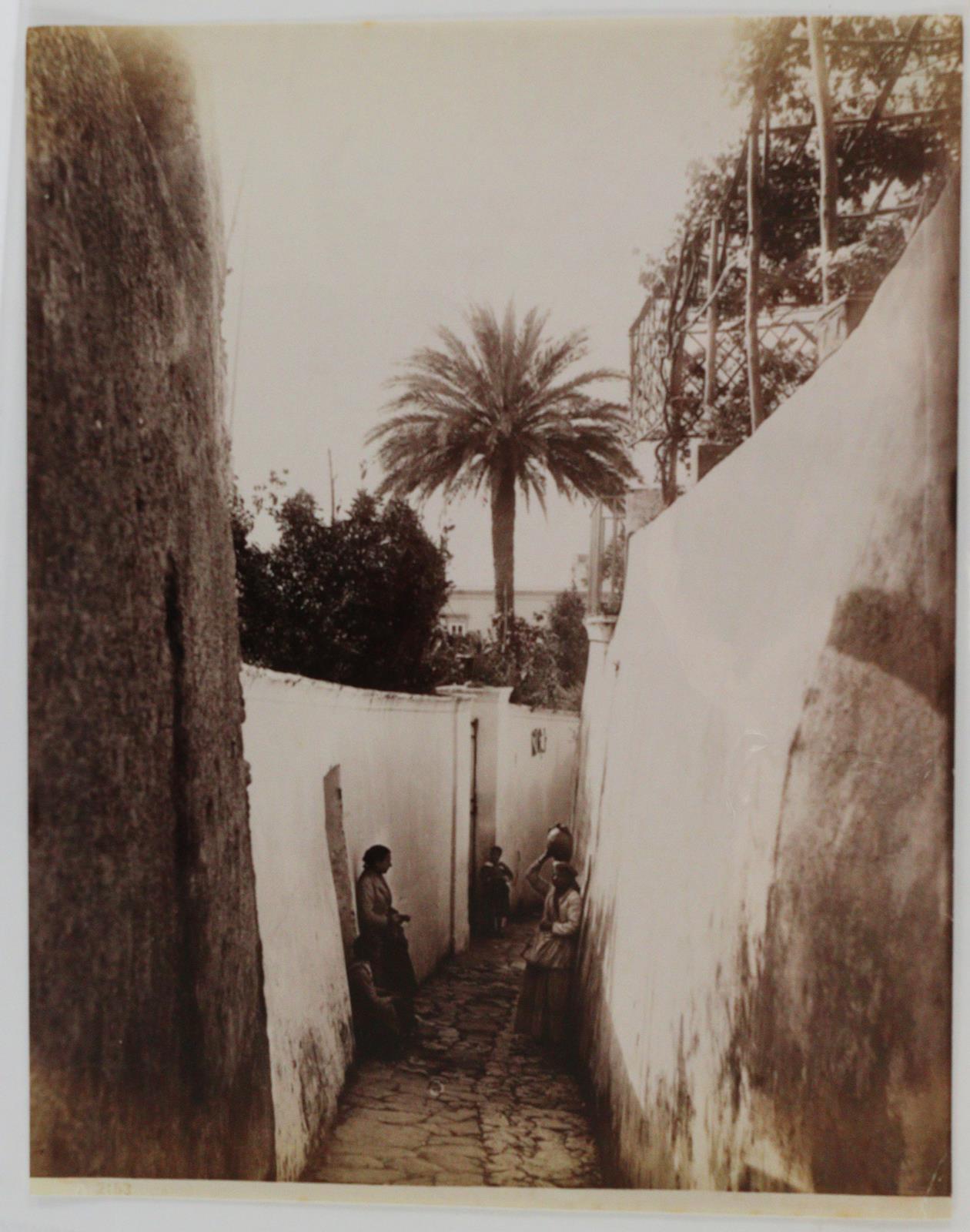 Capri. | Bild Nr.3
