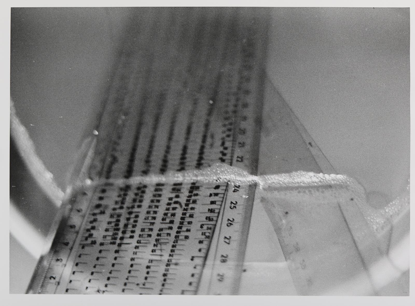 Polke, Sigmar | Bild Nr.5