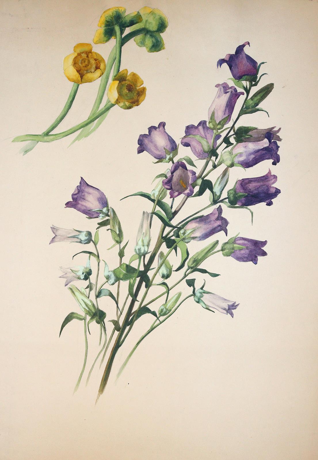Blumen. | Bild Nr.1