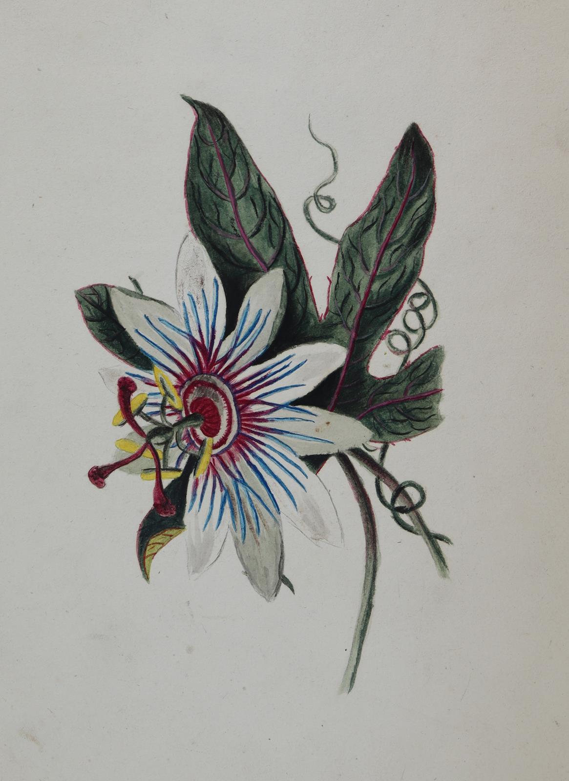 Blumen und Ornamente. | Bild Nr.1