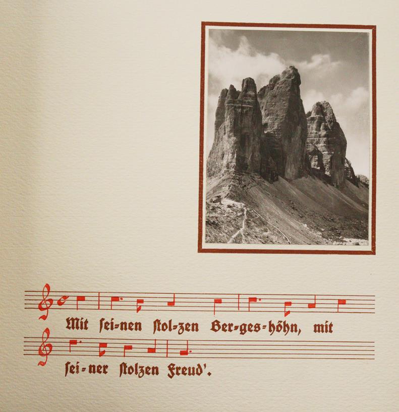 Mein Schluchsee-Herbarium. | Bild Nr.1
