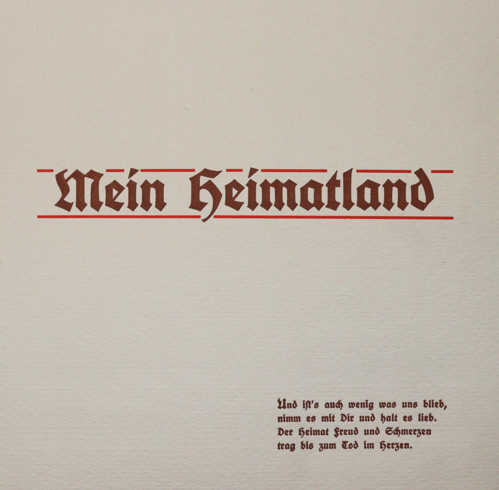 Mein Schluchsee-Herbarium. | Bild Nr.2