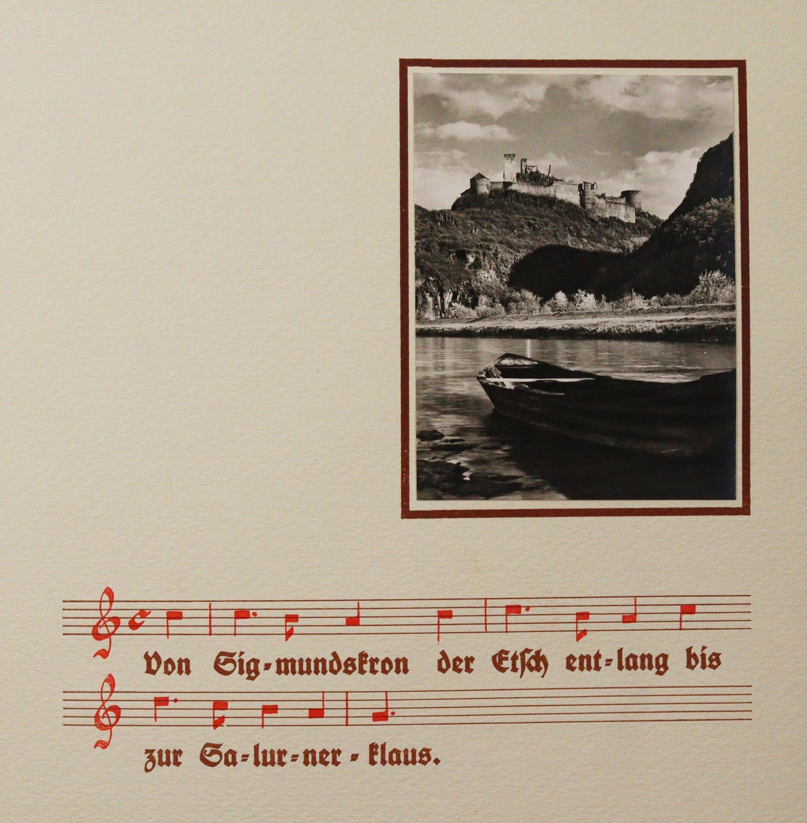 Mein Schluchsee-Herbarium. | Bild Nr.3