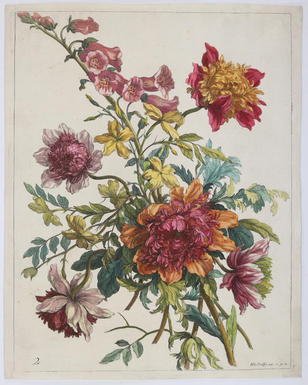 Merian, Maria Sibylla | Bild Nr.2