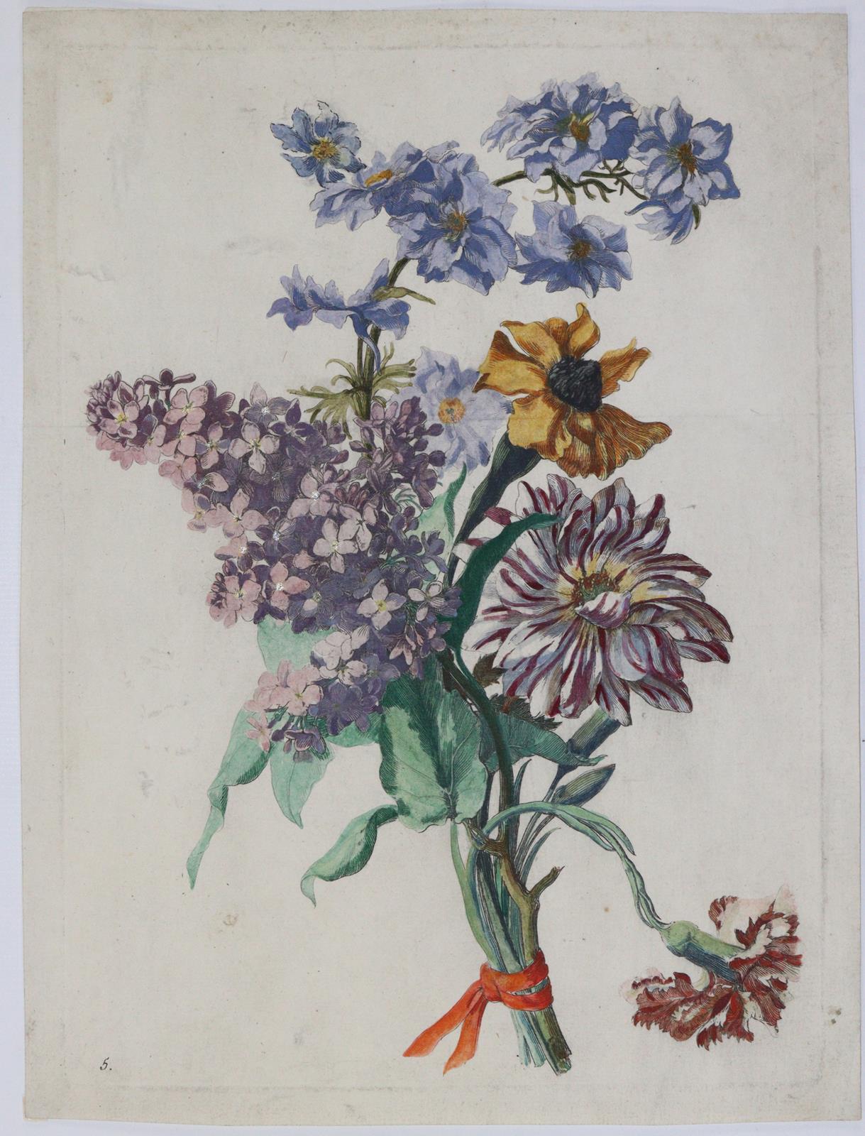 Merian, Maria Sibylla | Bild Nr.3