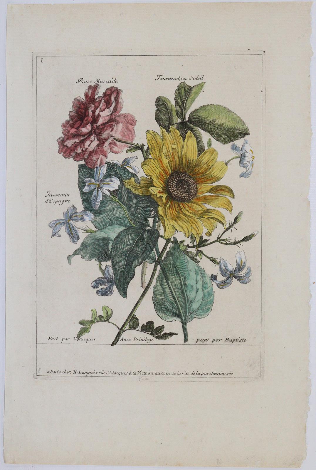 Merian, Maria Sibylla | Bild Nr.5