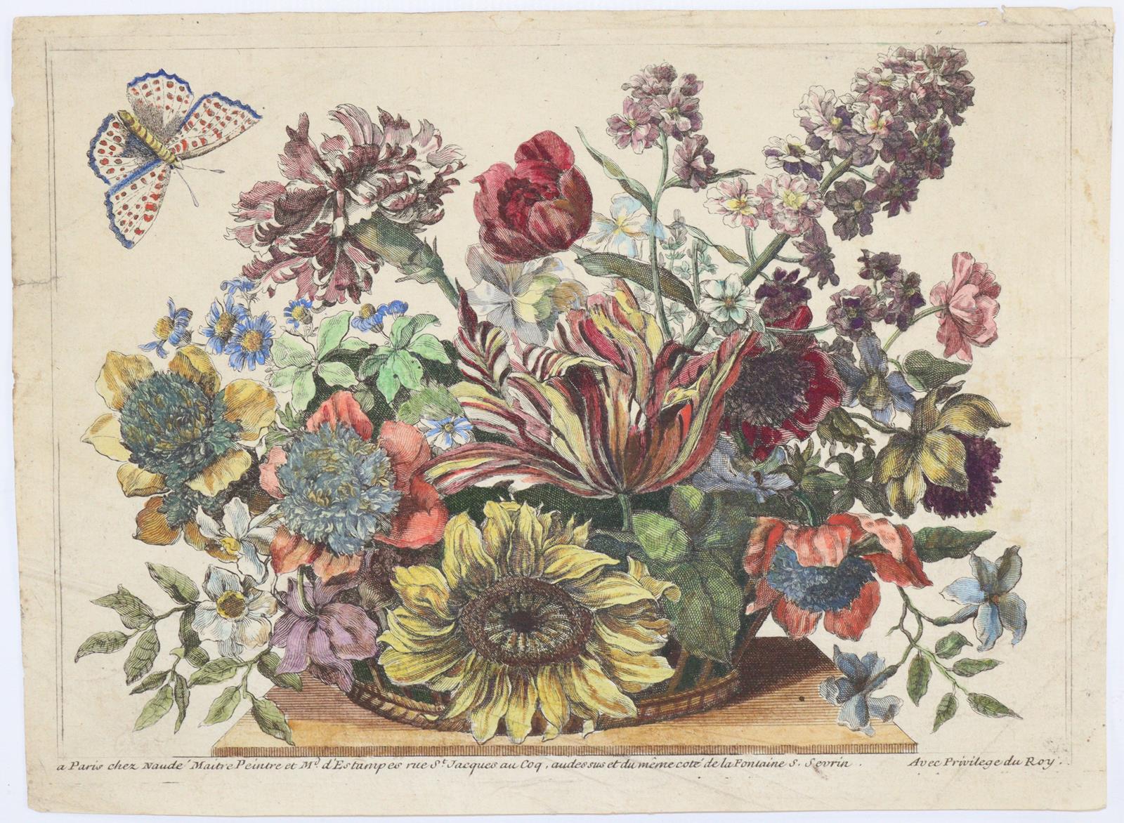 Merian, Maria Sibylla | Bild Nr.6