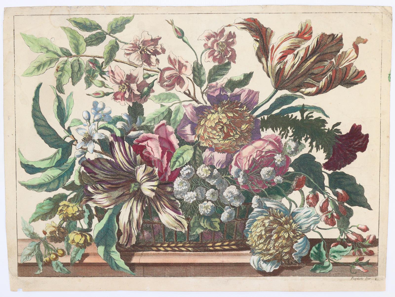 Merian, Maria Sibylla | Bild Nr.7