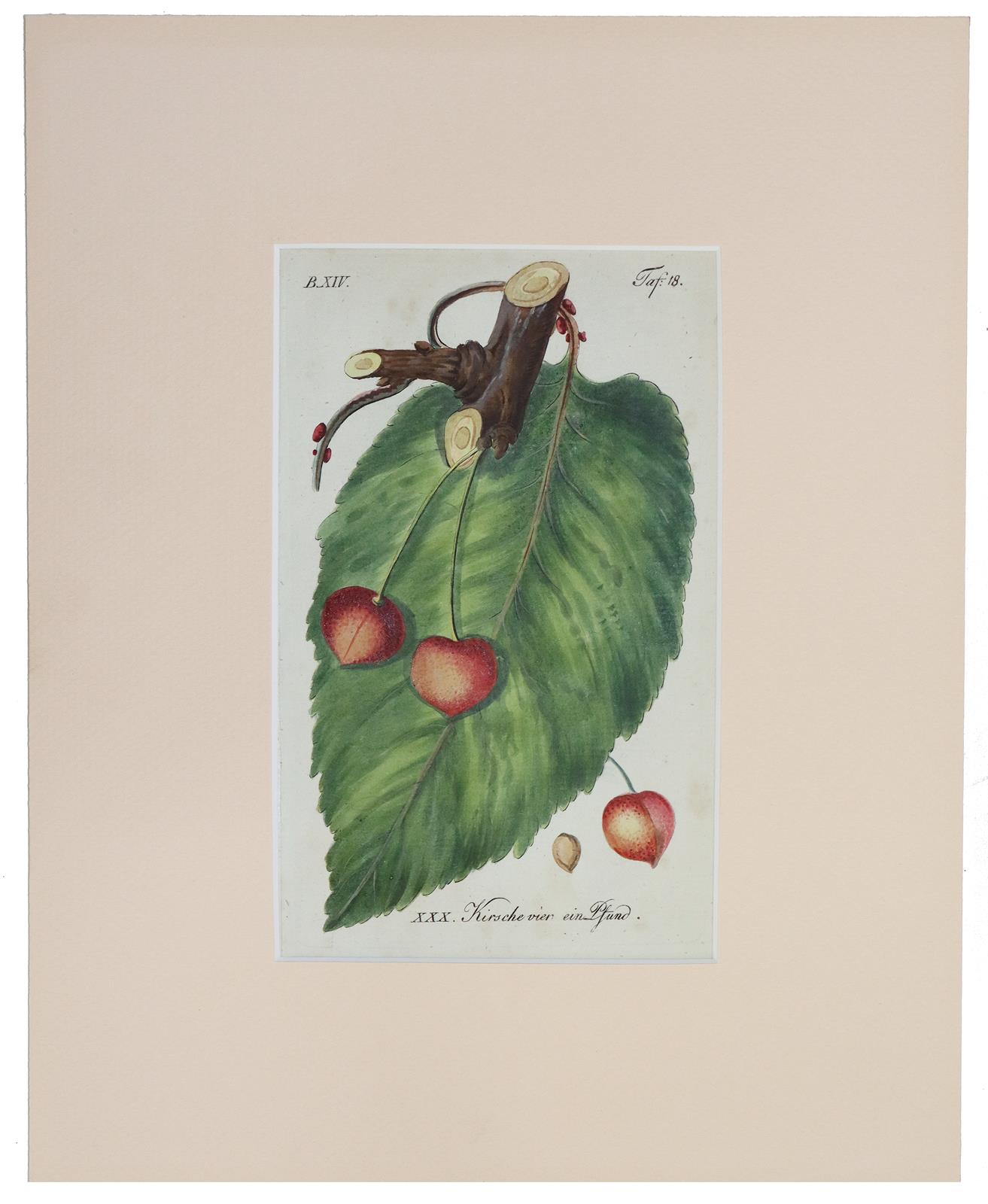Sammlung | Bild Nr.2