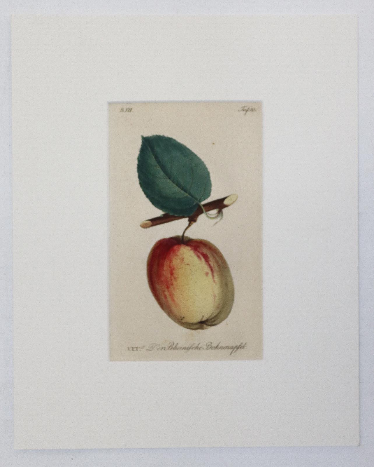 Sammlung | Bild Nr.3