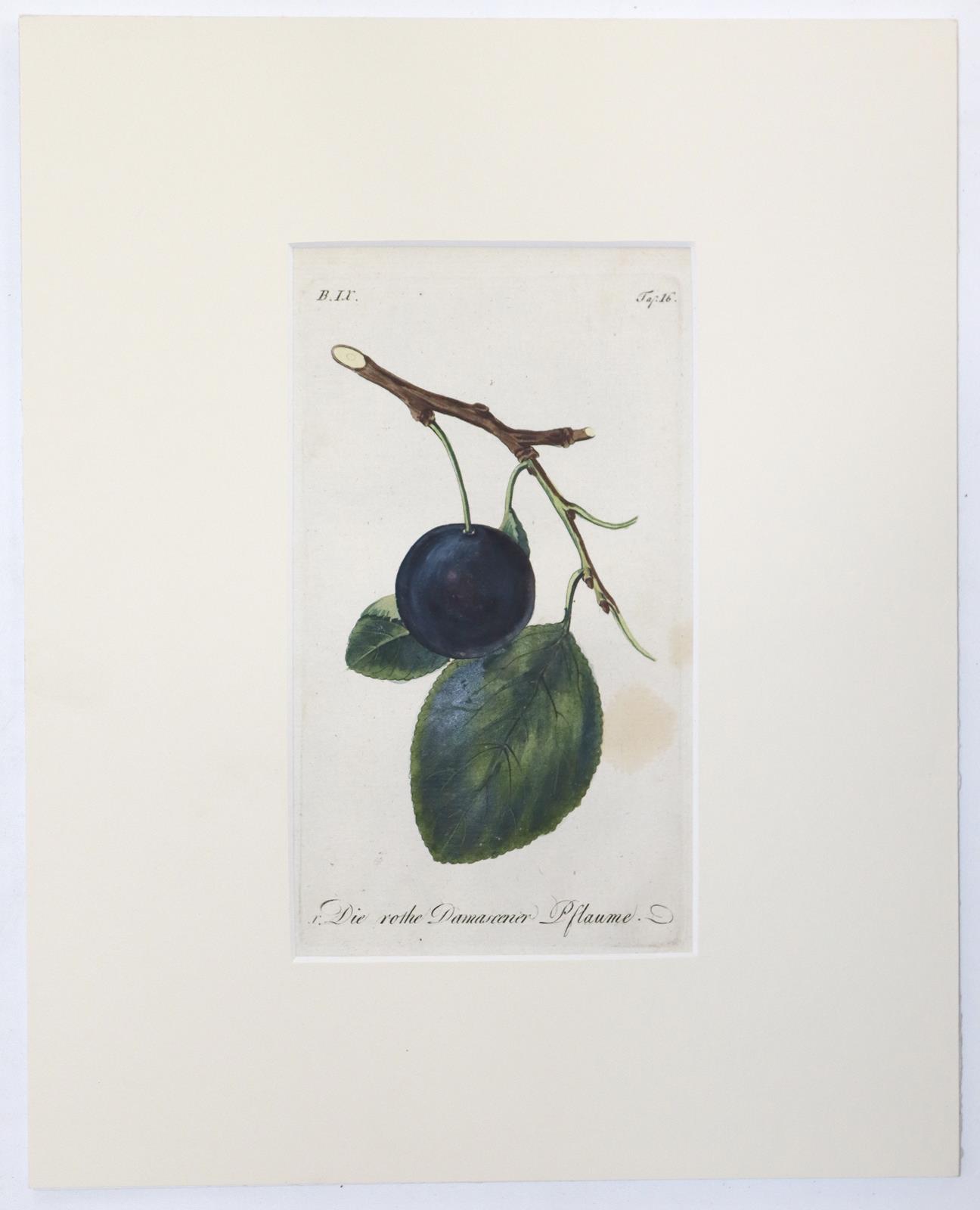 Sammlung | Bild Nr.4