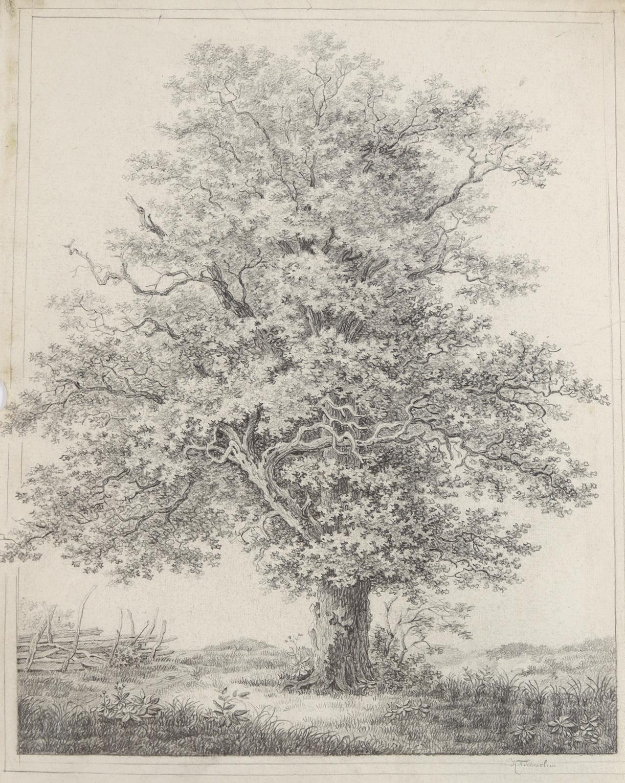 Schnizlein, Karl Friedrich | Bild Nr.1