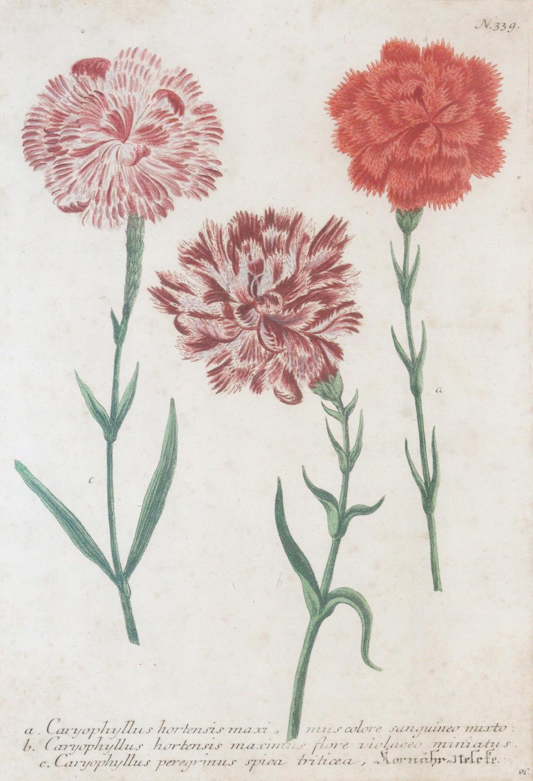 Weinmann, Johann Wilhelm | Bild Nr.1