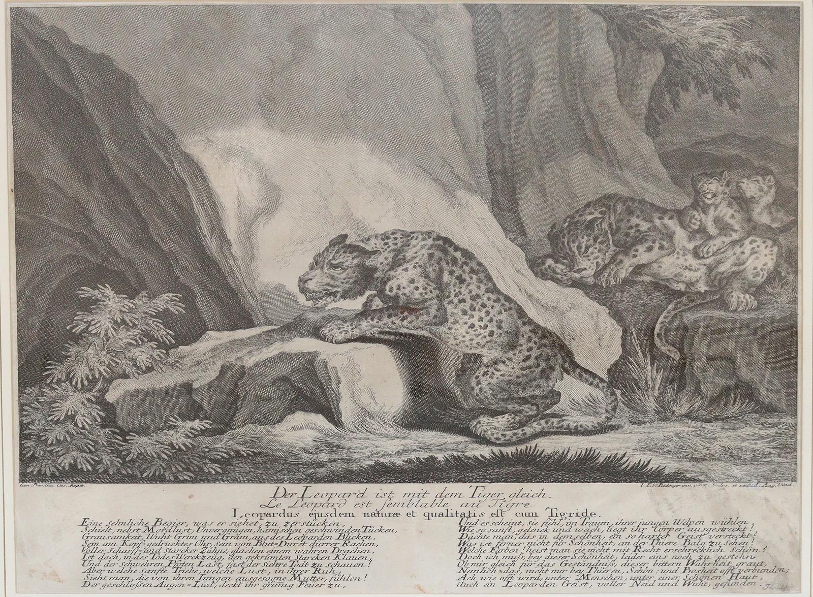 Ridinger, Johann Elias | Bild Nr.1