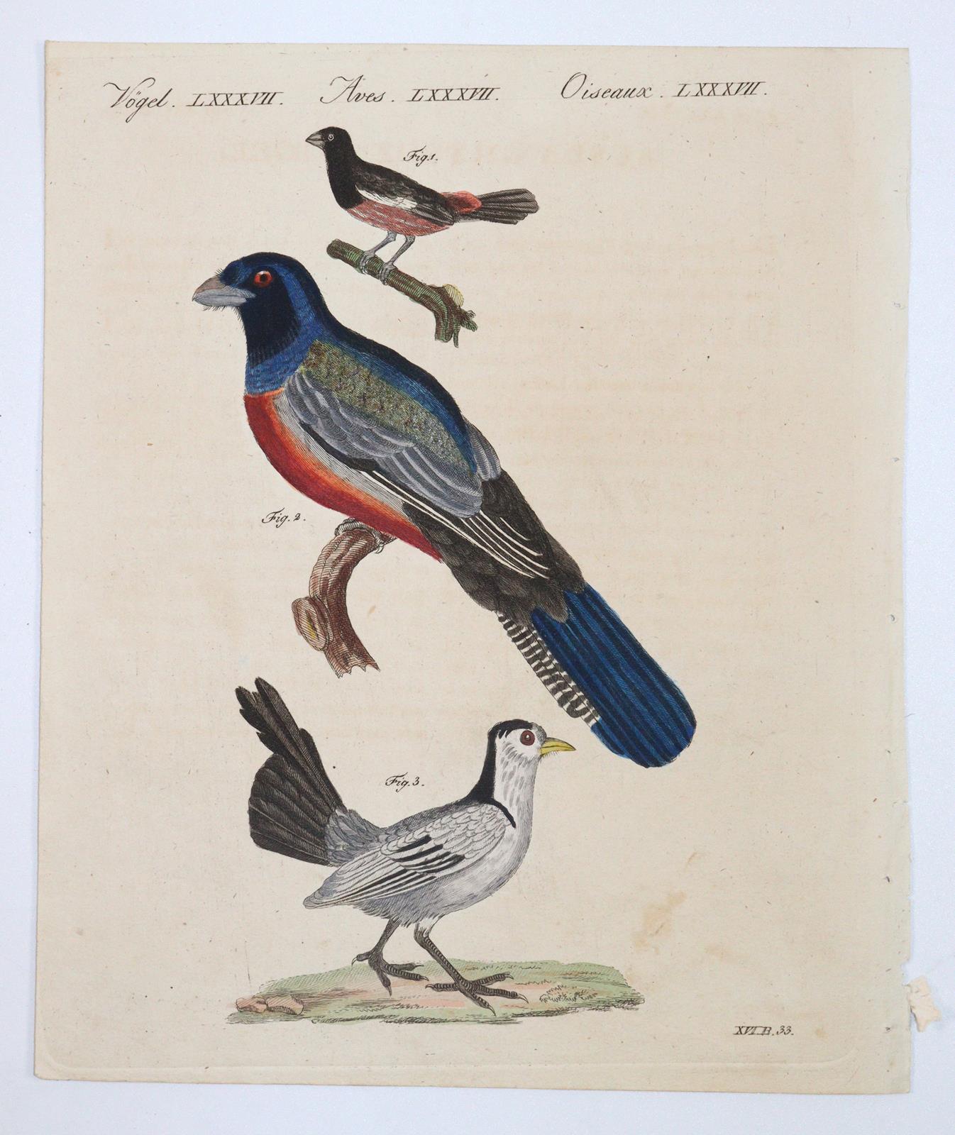 Sammlung | Bild Nr.7