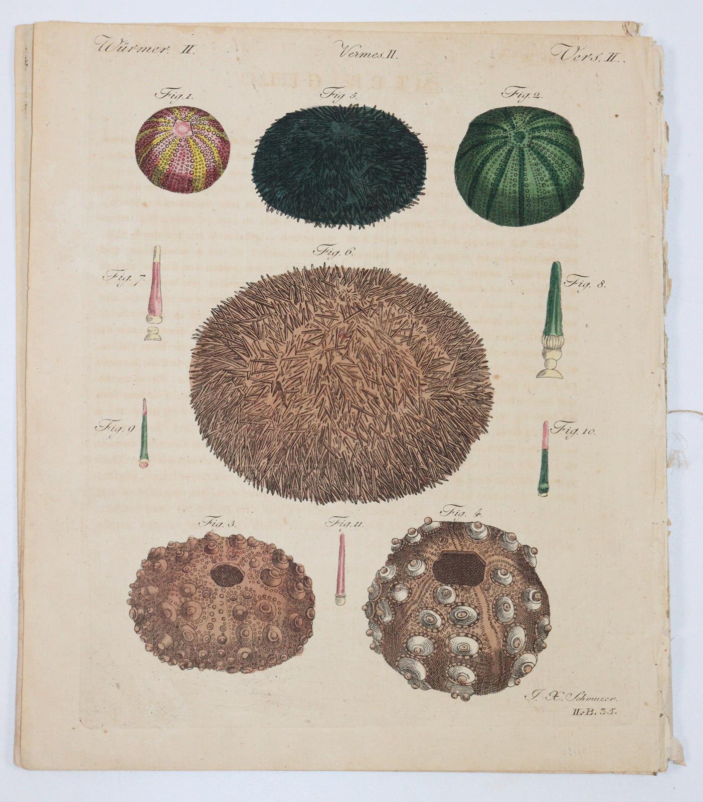 Sammlung | Bild Nr.10