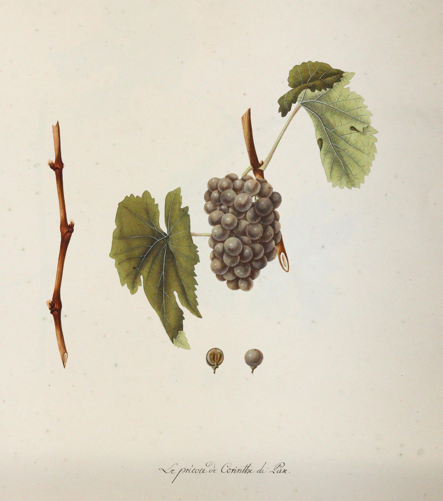 Kerner, Johann Simon von | Bild Nr.4