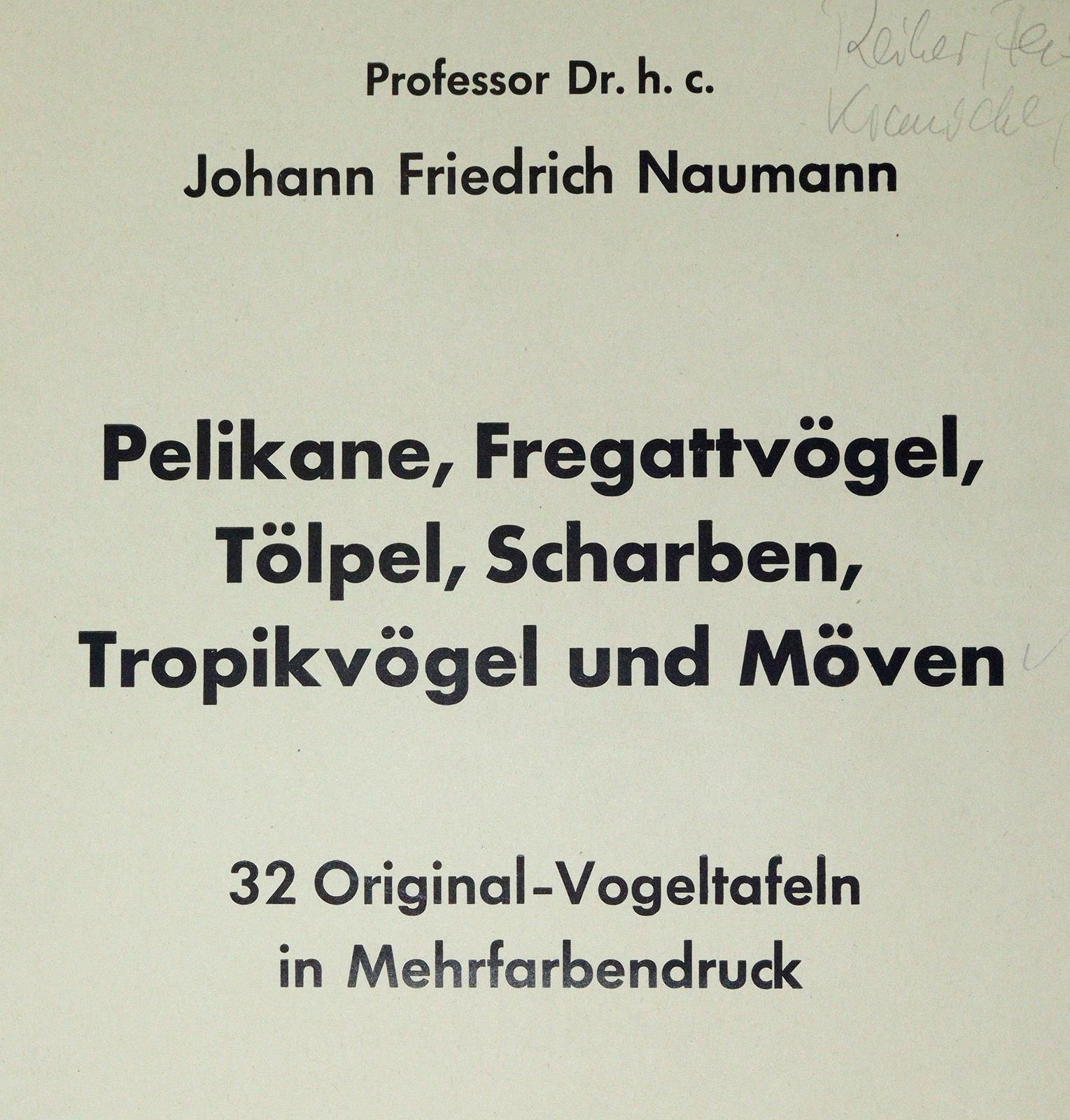 Naumann,J.F. | Bild Nr.3
