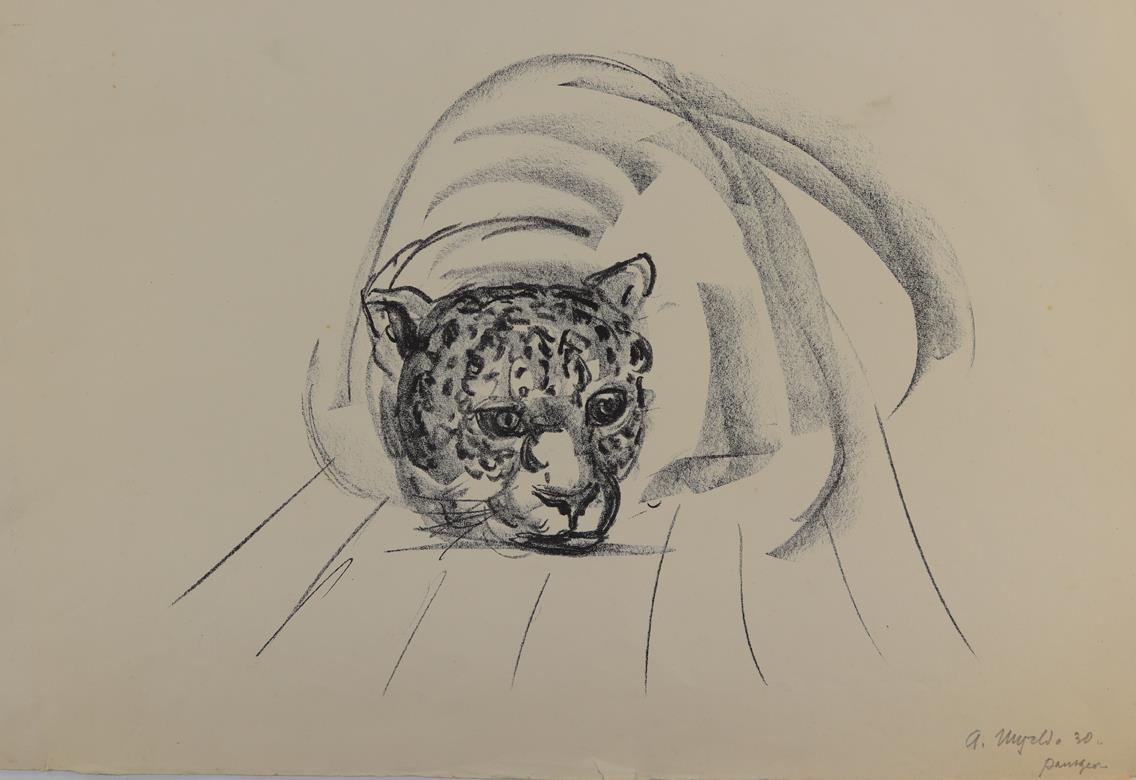 Panther, | Bild Nr.1