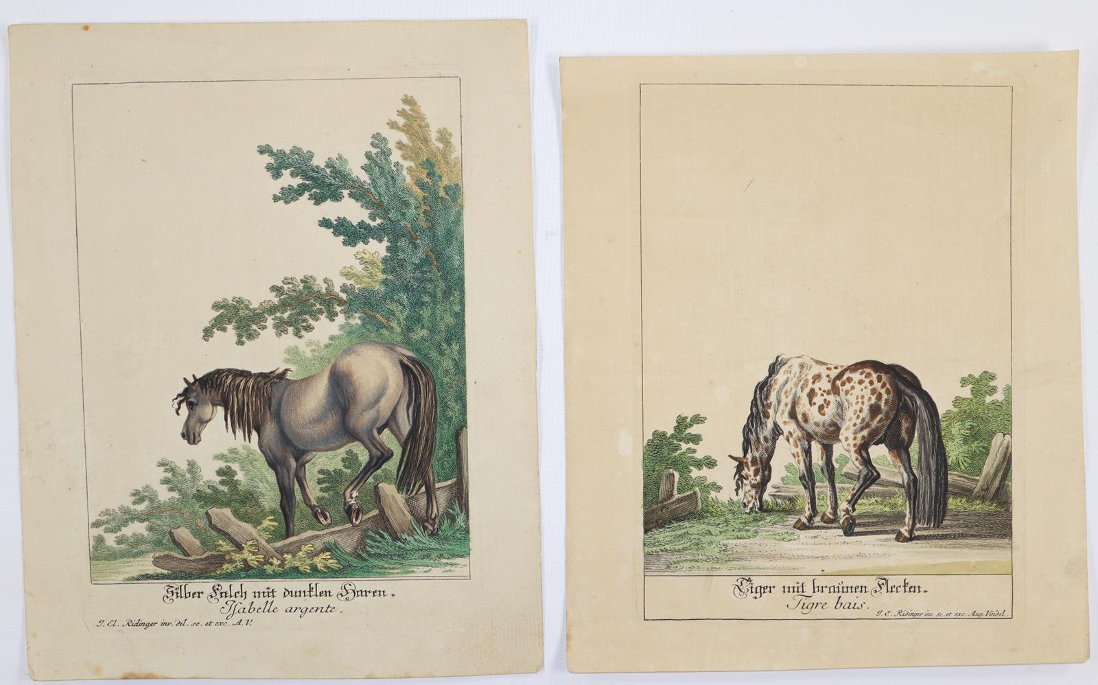 Ridinger, Johann Elias | Bild Nr.1