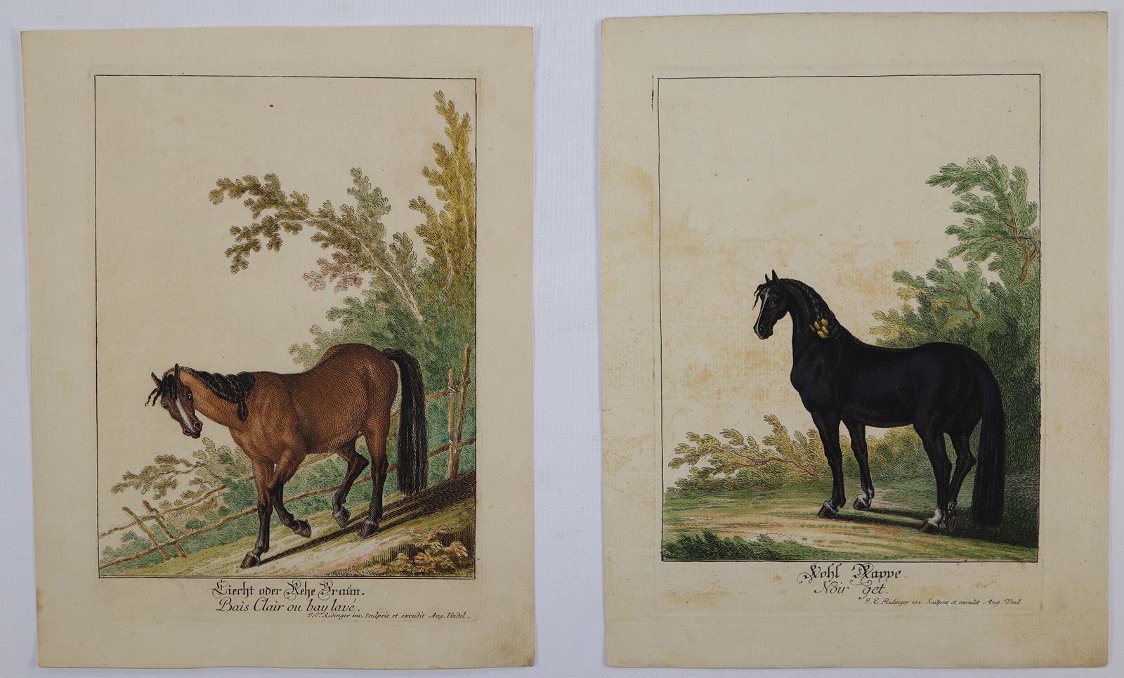 Ridinger, Johann Elias | Bild Nr.2