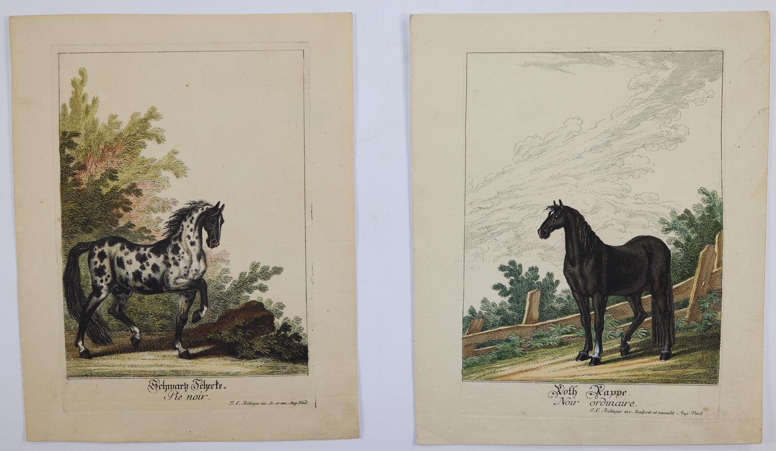 Ridinger, Johann Elias | Bild Nr.3